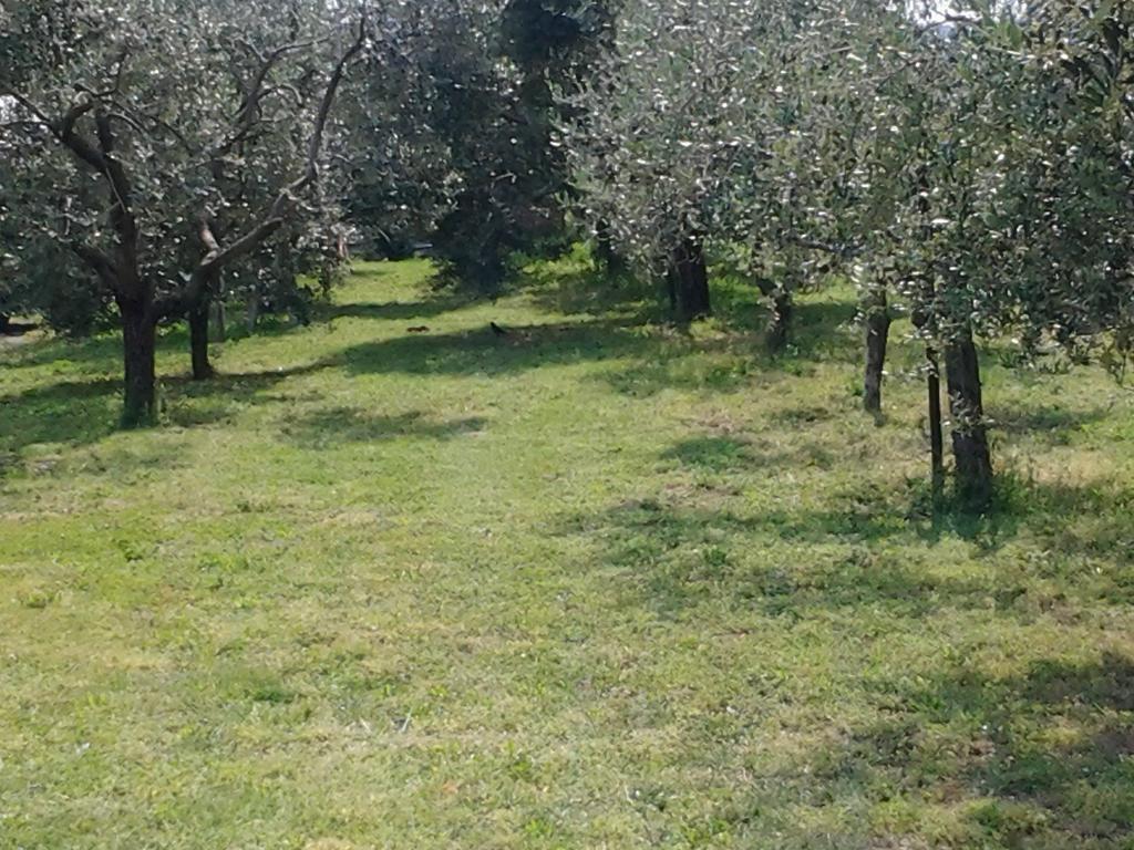 Agriturismo Corte Galvani Negrar Exterior photo